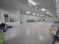 Склады · 320 м² за 600 000 ₸ в Усть-Каменогорске — фото 6
