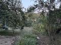 Жер телімі · 10 сотық, Нұрлытау ш/а., бағасы: 69 млн ₸ в Алматы, Бостандыкский р-н
