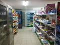 Магазины и бутики • 150 м² за 6 млн 〒 в Шымкенте, Каратауский р-н — фото 3