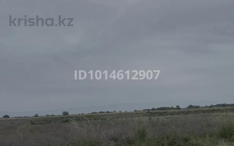 Жер телімі · 7.4 га, Ақши (Еңбекшіқазақ ауданы), бағасы: 10 млн ₸ в Акши (Енбекшиказахском районе) — фото 2