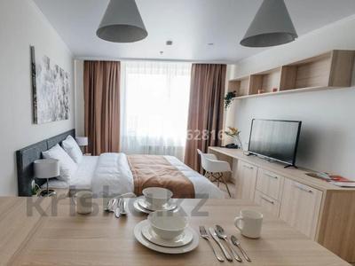 1-комнатная квартира · 27 м², Туркестан 16 за 279 000 〒 в Астане, Есильский р-н