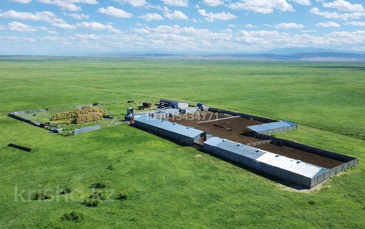 Сельское хозяйство · 100000 м² за 320 млн ₸ в Алматинской обл., Таргап — фото 2