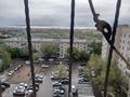 2-комнатная квартира · 60 м² · 10/10 этаж, 12-й мкр. 20 за 20 млн ₸ в Актобе — фото 20