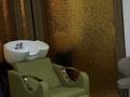 Обменяю бизнес на квартиру · 100 м² за 15 млн ₸ в Шымкенте, Туран р-н — фото 12