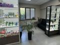 Кеңселер, сұлулық салондары, медорталықтар мен дәріханалар · 224.7 м², бағасы: 254 млн ₸ в Алматы, Медеуский р-н — фото 4