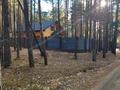 Участок · 15 соток, Санаторий светлый 39а за 53 млн ₸ в Щучинске — фото 10