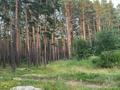 Участок · 15 соток, Санаторий светлый 39а за 53 млн ₸ в Щучинске — фото 2