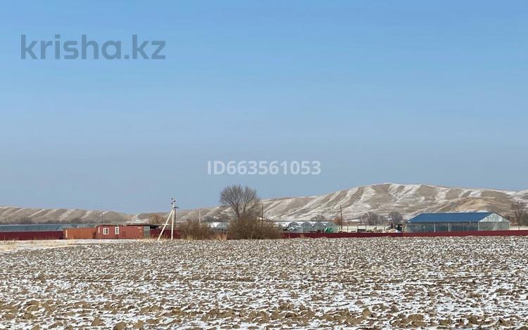 Ауыл шаруашылығы • 1000 м², бағасы: 40 млн 〒 в Узынагаш — фото 2