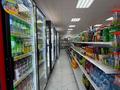 Отдельный дом · 5 комнат · 500 м² · 10 сот., Аягоз за 160 млн ₸ в Актобе, жилой массив Заречный-1 — фото 5