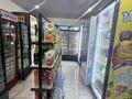 Продаётся готовый Бизнес-Магазин · 75 м², бағасы: 9 млн ₸ в Астане, Алматы р-н — фото 10