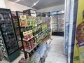 Продаётся готовый Бизнес-Магазин · 75 м², бағасы: 9 млн ₸ в Астане, Алматы р-н — фото 11
