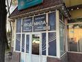 Магазины и бутики · 500 м² за 270 млн ₸ в Алматы, Жетысуский р-н — фото 11