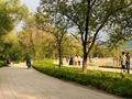 1-комнатная квартира · 38.9 м² · 9/10 этаж, мкр Тастак-2, Қарасай батыр 345 — восточнее озера Сайран за 33 млн ₸ в Алматы, Алмалинский р-н — фото 24