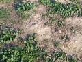 Жер телімі 8 сотық, Жамбыла, бағасы: 8 млн 〒 в Коянкусе — фото 3