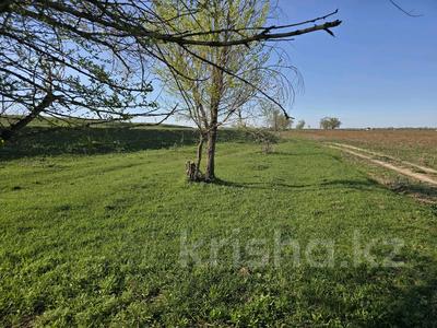 Участок · 5 соток, Шамалган за ~ 1.3 млн 〒