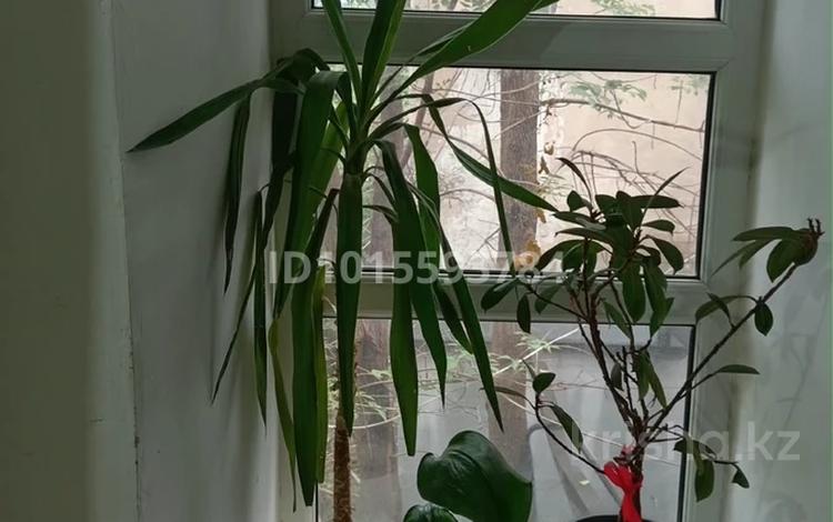 1-комнатная квартира · 17.5 м² · 2/2 этаж, чапаева 22 за 7 млн ₸ в Уральске — фото 2