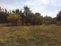 Участок · 20 соток, Ауезов 30 за 6.3 млн ₸ в Тасарыке — фото 7