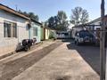 2-комнатная квартира · 55.1 м² · 1/1 этаж, Булкушева 11 — Сейфуллина за 17 млн ₸ в Алматы, Жетысуский р-н — фото 3