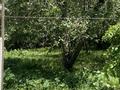 Отдельный дом · 4 комнаты · 80 м² · 8 сот., Вавилова 29 — Площадка за 16 млн ₸ в Есик — фото 8
