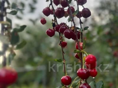 Участок · 9.1 сотка, Жазыкбаева 13 за 23 млн 〒 в Балыкшы