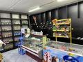Готовый бизнес. продуктовый магазин+алькомаркет · 73 м², бағасы: 7 млн ₸ в Астане, Нура р-н — фото 6