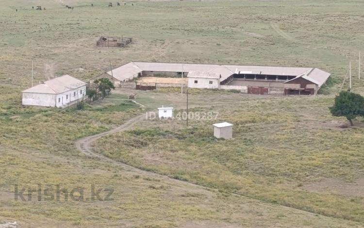Сельское хозяйство · 890 м² за 250 млн ₸ в Казыгурте — фото 2