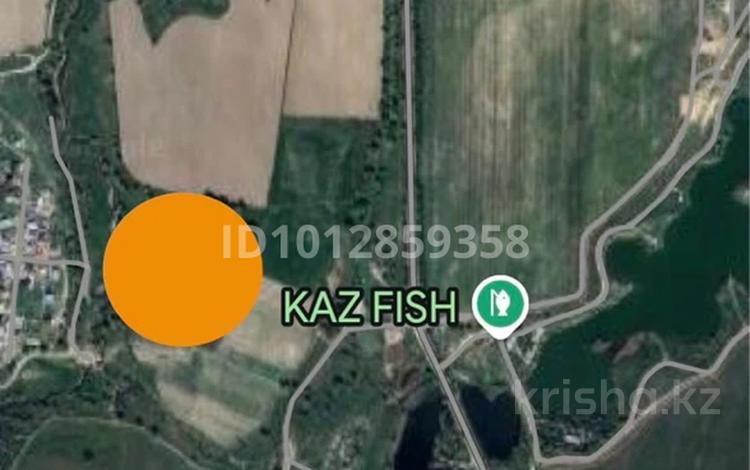 Жер телімі · 3 га, Алатау, бағасы: 40 млн ₸ — фото 2