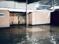 Отдельный дом · 6 комнат · 200.6 м² · 5 сот., 1 переулок Жалаири 11в — Химпоселок за 45 млн ₸ в Таразе — фото 24