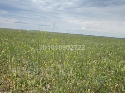 Участок · 220 га, Аккулы за 7 млн ₸