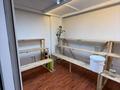 Дүкендер мен бутиктер · 30 м², бағасы: 450 000 ₸ в Астане, Нура р-н — фото 2