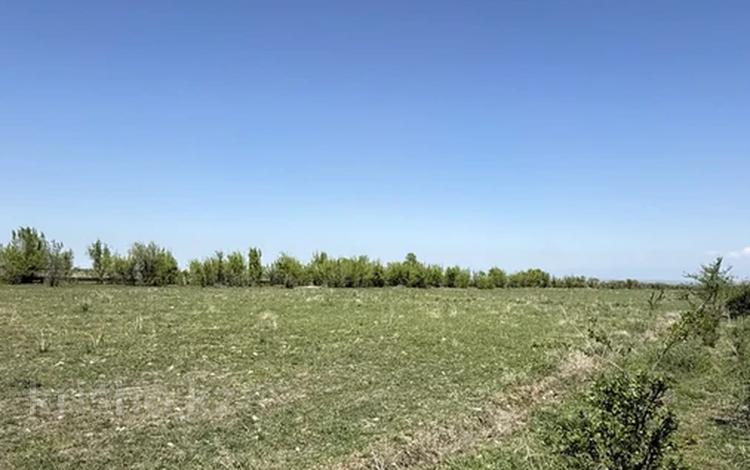 Участок · 7.4 га, Есжанова за 18.5 млн ₸ в Талдыбулаке — фото 2