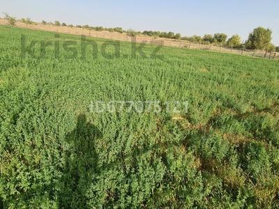 Участок · 28 га, Жаркент за 20 млн 〒