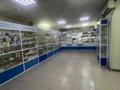 Медцентры и аптеки · 300 м² за 200 млн ₸ в Жезказгане — фото 4