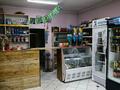 Магазины и бутики · 48 м² за 15 млн ₸ в Талдыкоргане — фото 6