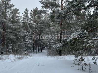 Жер телімі · 10 сотық, Заезд Боровой, бағасы: 10.8 млн 〒 в Семее, Красный Кордон