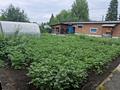Жеке үй · 4 бөлме · 100 м² · 7 сот., Победа 2 — Улица Ворошилова,Свободы, бағасы: 10 млн ₸ в Алтае — фото 7