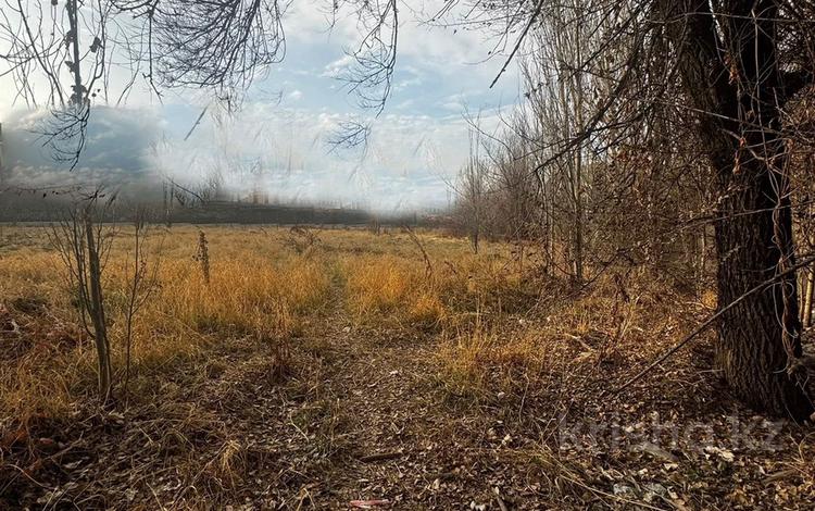 Жер телімі · 51 сотық, мкр Мирас, бағасы: ~ 1.8 млрд ₸ в Алматы, Бостандыкский р-н — фото 7
