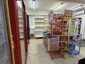Магазины и бутики · 54 м² за 22 млн ₸ в Балхаше — фото 10