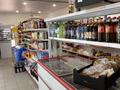 Магазины и бутики · 100 м² за 300 000 ₸ в Астане, Нура р-н — фото 4