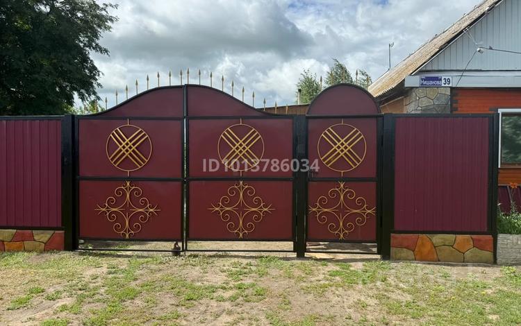 Отдельный дом · 3 комнаты · 80 м² · 10 сот., Нишанова 39 за 10 млн ₸ в Нечаевке — фото 2