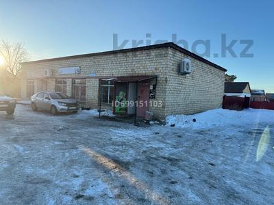 Еркін, дүкендер мен бутиктер · 228.5 м², бағасы: 65 млн ₸ в Доскее