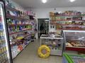 Магазины и бутики · 100 м² за 65 млн ₸ в Усть-Каменогорске, Ахмирово — фото 11