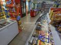 Магазины и бутики · 100 м² за 65 млн ₸ в Усть-Каменогорске, Ахмирово — фото 9