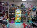 Прибыльный и раскрученный отдел детских игрушек · 40 м², бағасы: 7 млн 〒 в Караганде, Алихана Бокейханова р-н — фото 3