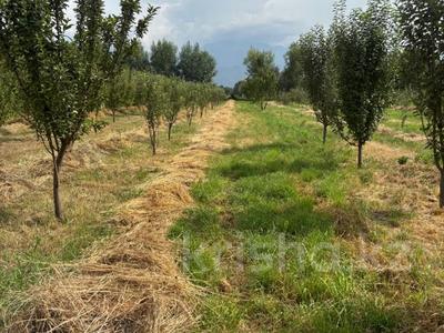 Участок · 6.1 га, Талгар за 43 млн ₸