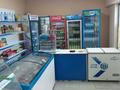 Свободное назначение, магазины и бутики, медцентры и аптеки · 50 м² за 280 000 ₸ в Шымкенте, Туран р-н — фото 3