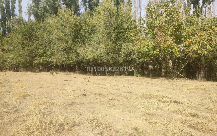 Жер телімі · 10.3 га, Киелі тас, бағасы: 20 млн ₸ в Ленгере — фото 2