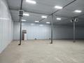 Свободное назначение · 800 м² за 2.8 млн ₸ в Астане