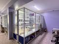 Медорталықтар мен дәріханалар · 60 м², бағасы: 17 млн ₸ в Сатпаев — фото 4