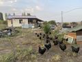 Отдельный дом · 3 комнаты · 40 м² · 10 сот., Раимбекский сельский округ — Верхняя трасса за 30 млн ₸ в Алматы — фото 3